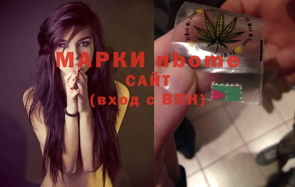 индика Алексин