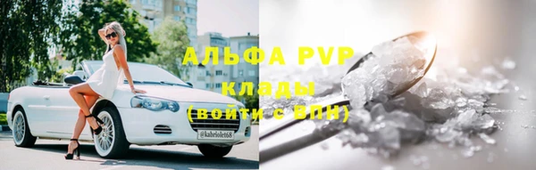 индика Алексин