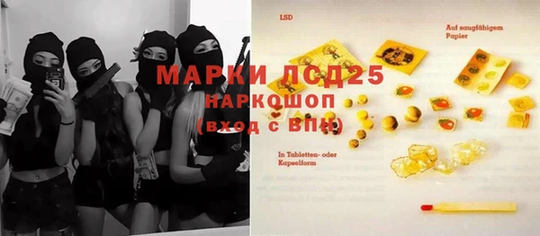 индика Алексин