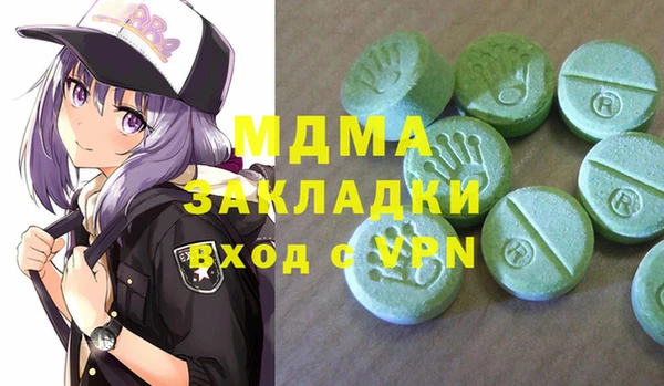 индика Алексин