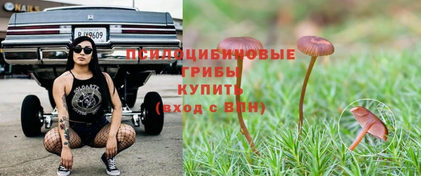 индика Алексин