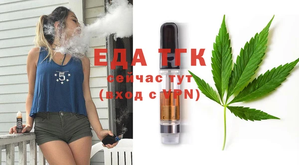 индика Алексин